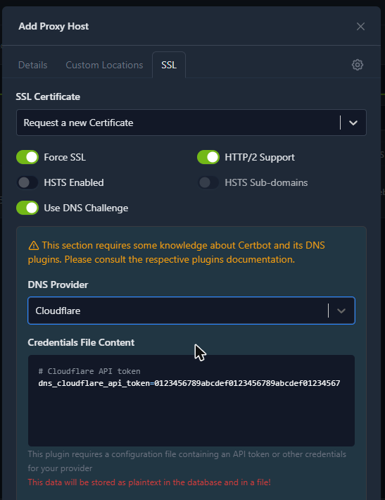Nginx Proxy Manager - Use DNS Challenge with the Cloudflare credentials box