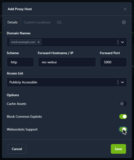 Nginx Proxy Manager - Add Proxy Host, Details tab filled in